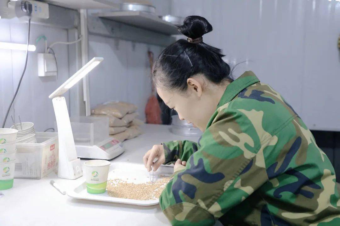 她用一千多个日常,搏未来那一刻的乘风破浪_谢雪萍_工作_岗位