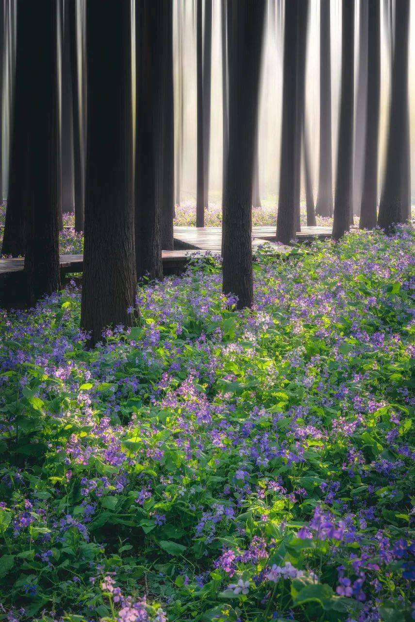 南京_历史_金陵