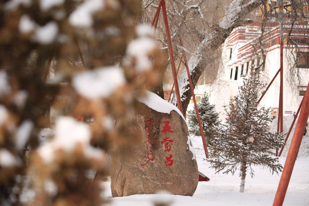 讲真的!不是"尔滨"去不起,而是五当召的雪景更有性价比