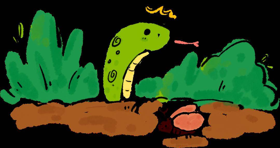 冬眠中醒来刺猬三月正是观黄鹂的好时机发出悦耳的鸣叫声在树枝间跳跃