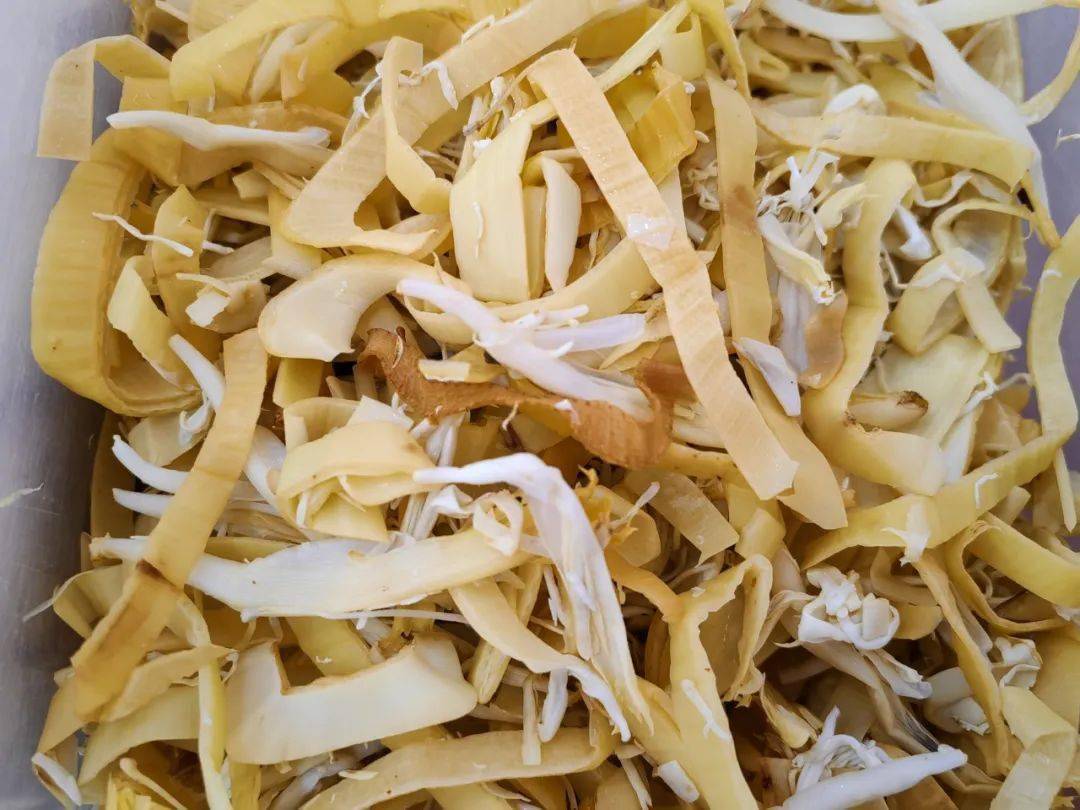 乐游玉溪丨春日"百花宴" 品尝舌尖上的"花花世界"_攀枝花_美味_甘蔗