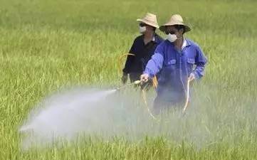 农技口诀,超级实用_土壤_生产_酸性