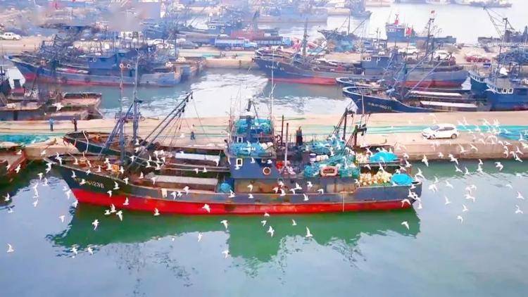 乌子煨肉,蒜薹烧鲅鱼……_味道_方法_特色