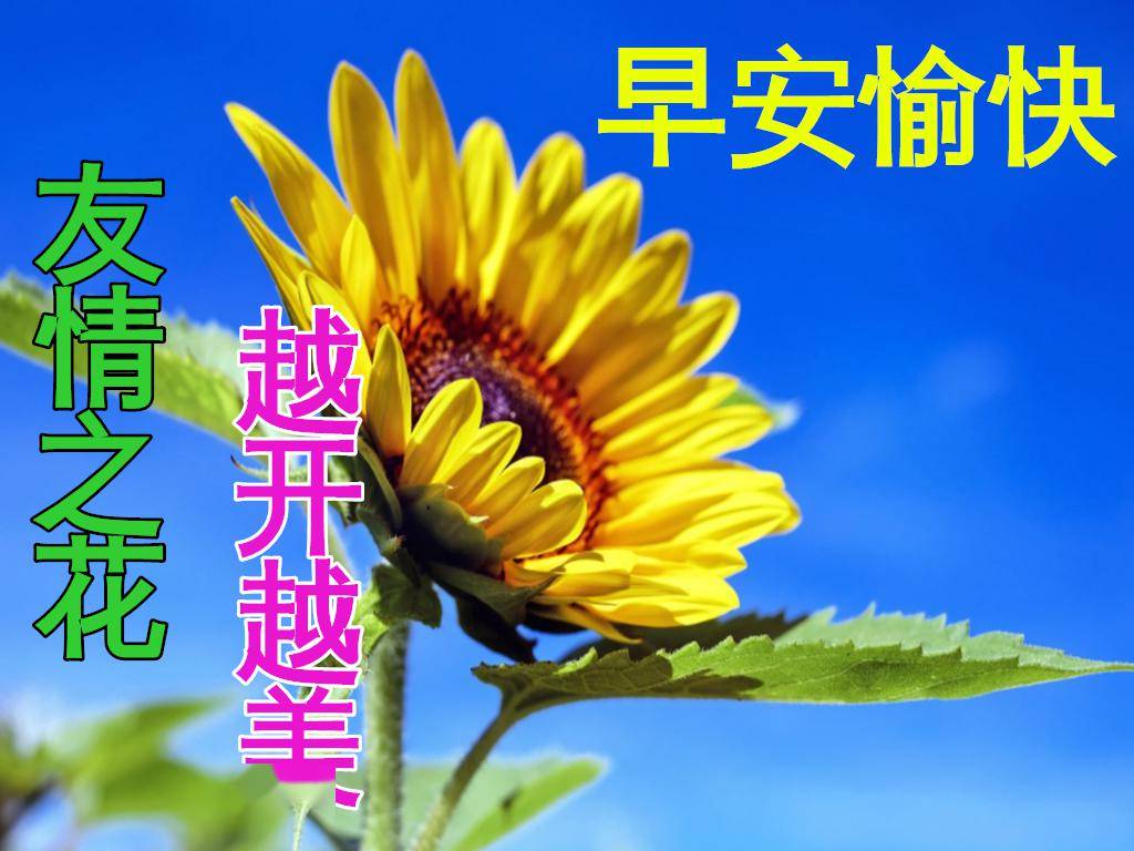 3月1日早上好祝福语图片大全,问候动态表情图片大全!_生活_人生_文字