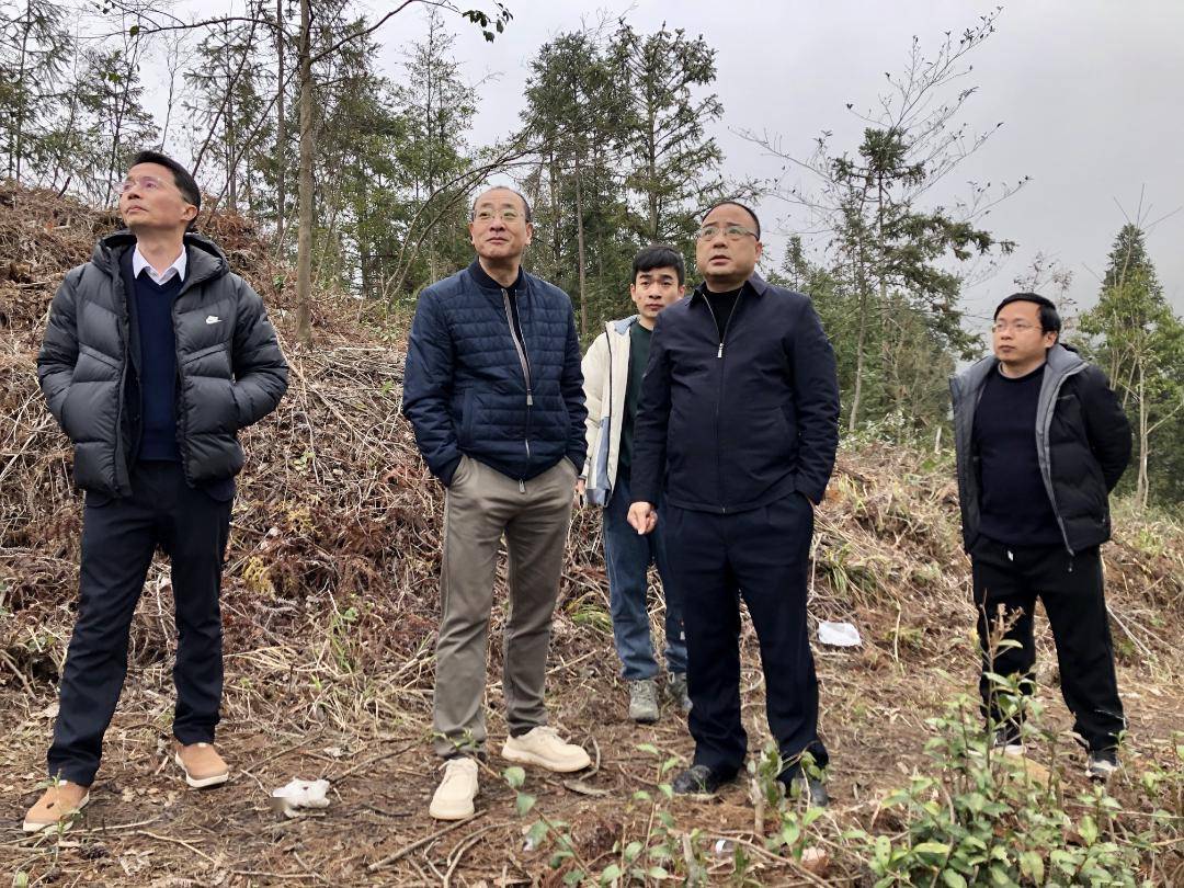 省林业局领导赴宁德市指导松材线虫病疫情防控工作_张志才_质量_情况