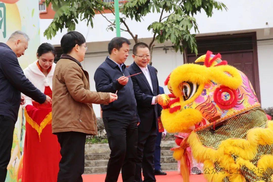 上林大明山茶园抢"鲜"开采_广西_农垦_嘉宾