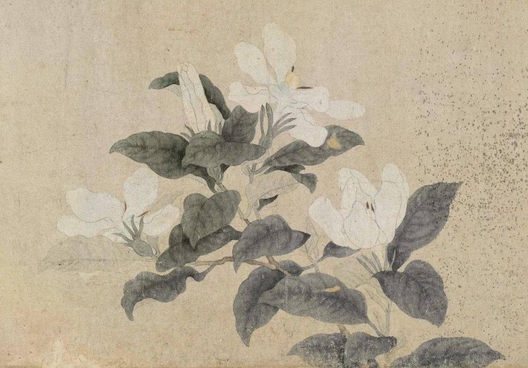 春日里的花花世界元钱选八花图卷技法精讲