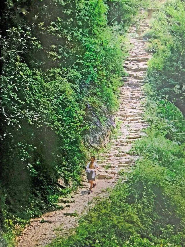 古盐道上飞出的民歌——镇坪五句子歌拾零_文化_生命_历史