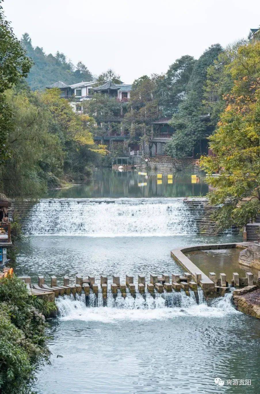 贵安不止有樱花 "赏花 "带你玩转贵安!_华为_公园_中心