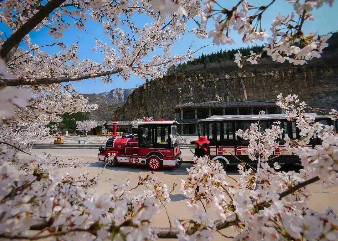 来源:今日五莲▲德州减河湿地公园 来源:德州文化旅游▲聊城冠县"中华