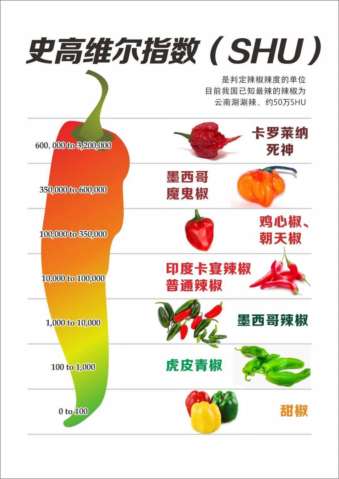 中国辣椒史高维尔指标图片