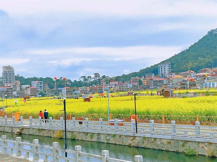 "虹山花朝节暨第十届油菜花文旅消费节活动正式启动_虹山乡_游客_文化
