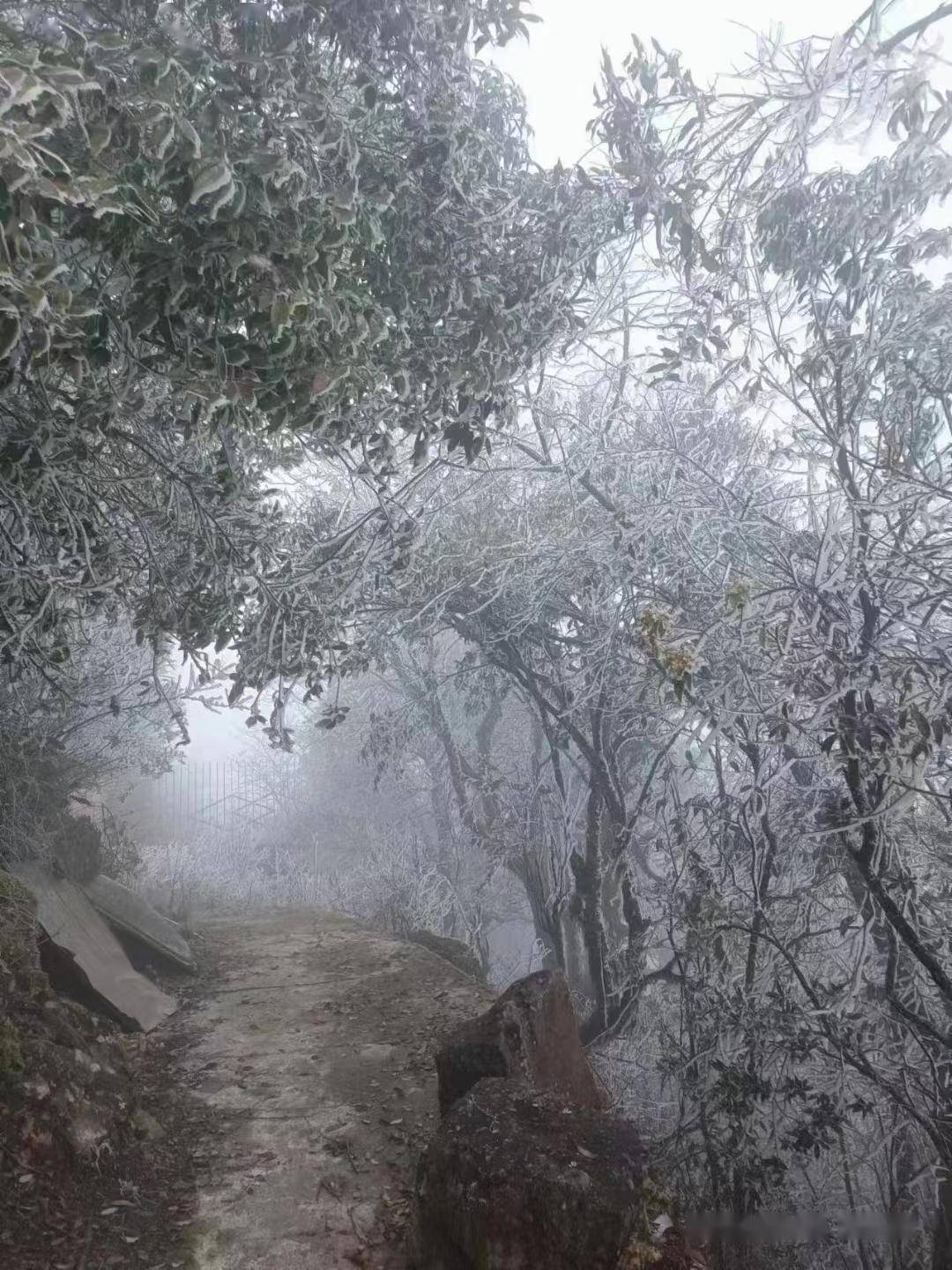 三明清流莲花山黄家雄/摄泉州德化九仙山福州闽清县白樟镇出现雾凇