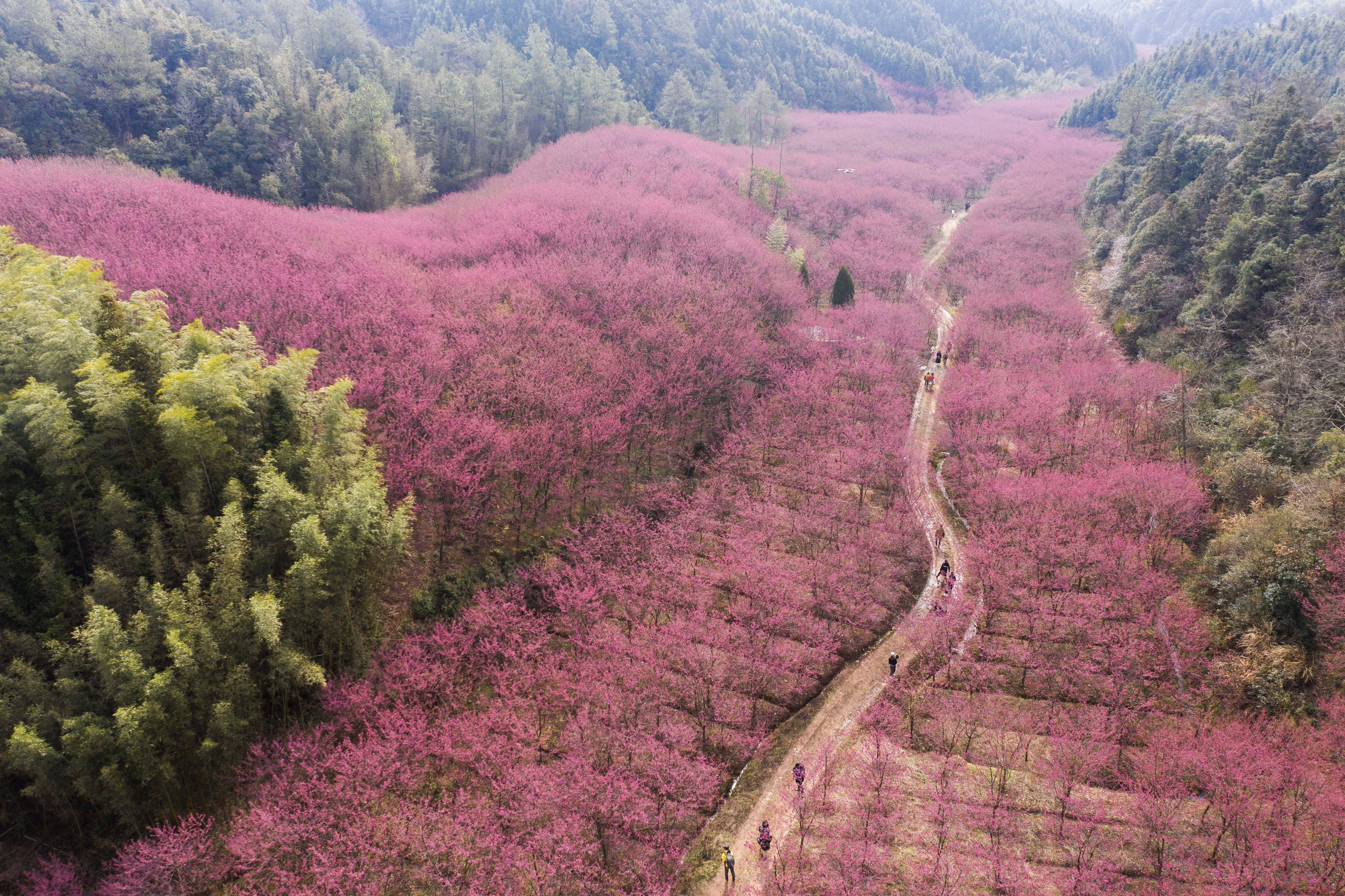 米积村图片