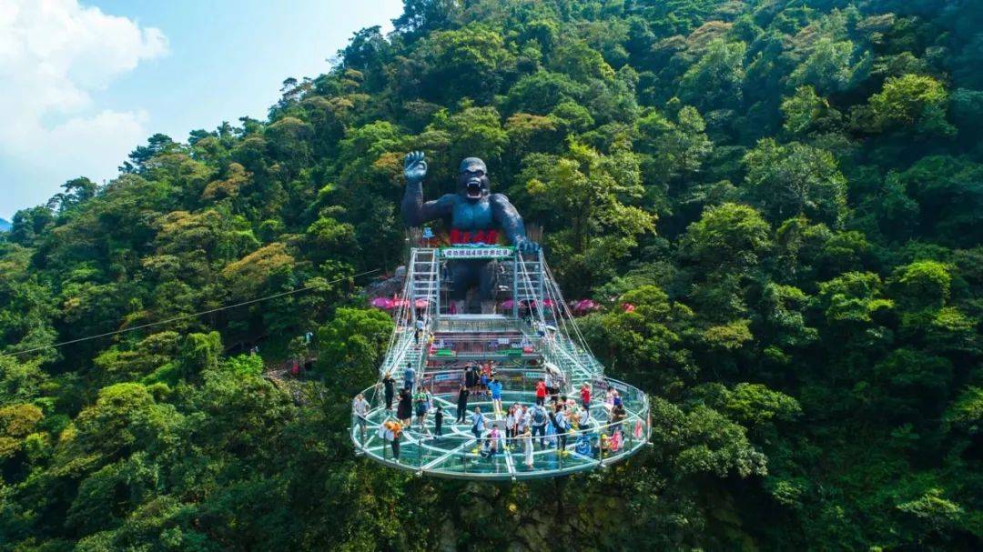 67国旅自组齐聚清远美林湖尊享自助早晚餐打卡古龙峡