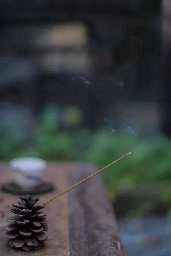 看不透不强求,是聪明