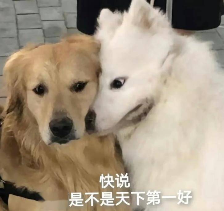 真的很讨厌这种没有边界感的行为!"_对方_好朋友_双方