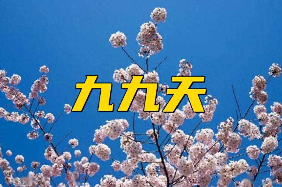 明日进入"九九天",建议少吃豆腐和梨,多吃这3样,温和养阳_花生_大蒜