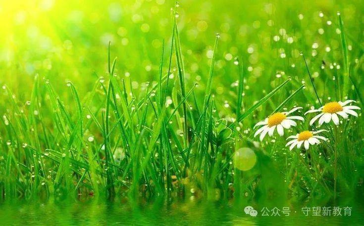 愿得长如此年年物候新新的飞花令接起来