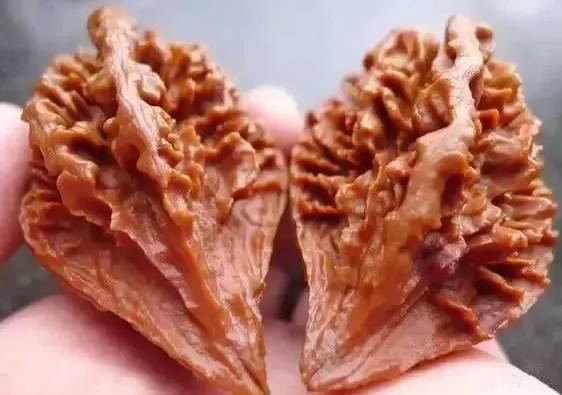 品种_江湖_传奇