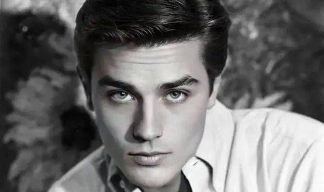 家中遭搜查!_阿兰·德龙_法国_瑞士