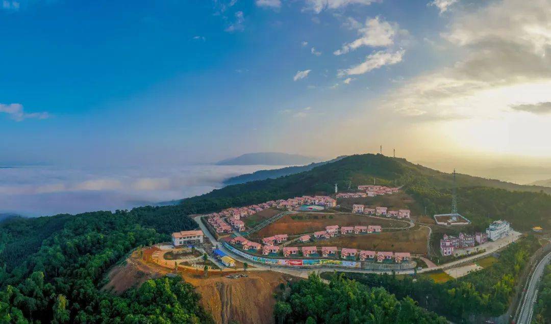 春茶季游临沧临沧佤山寻茶生态旅游精品线路