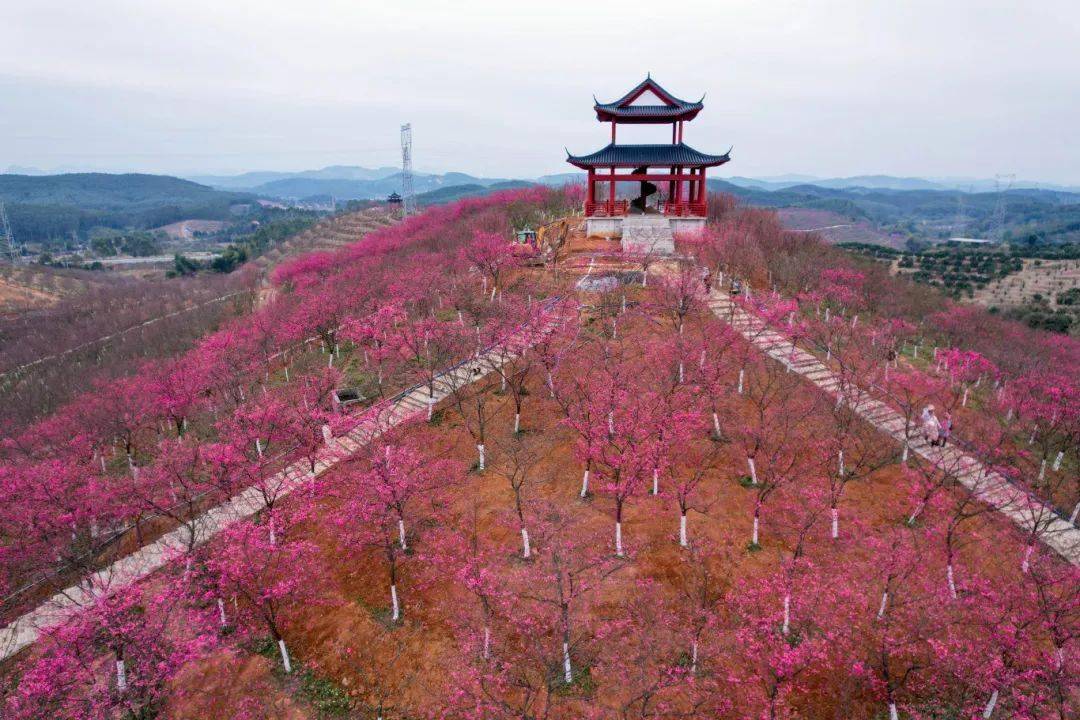 韶关五马寨生态园图片