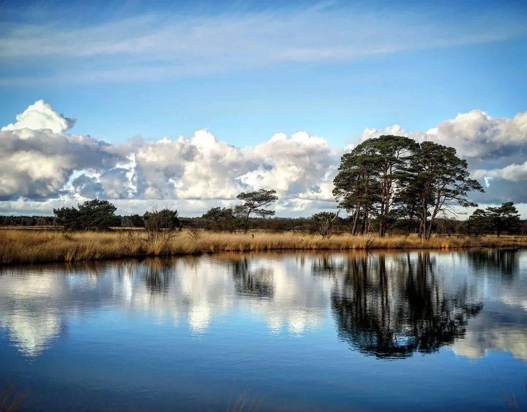 水映·树影_photo_by_看客