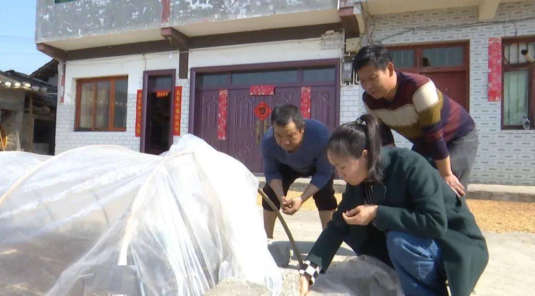 奋进正当时乐山镇春耕生产正当时农技指导到田间