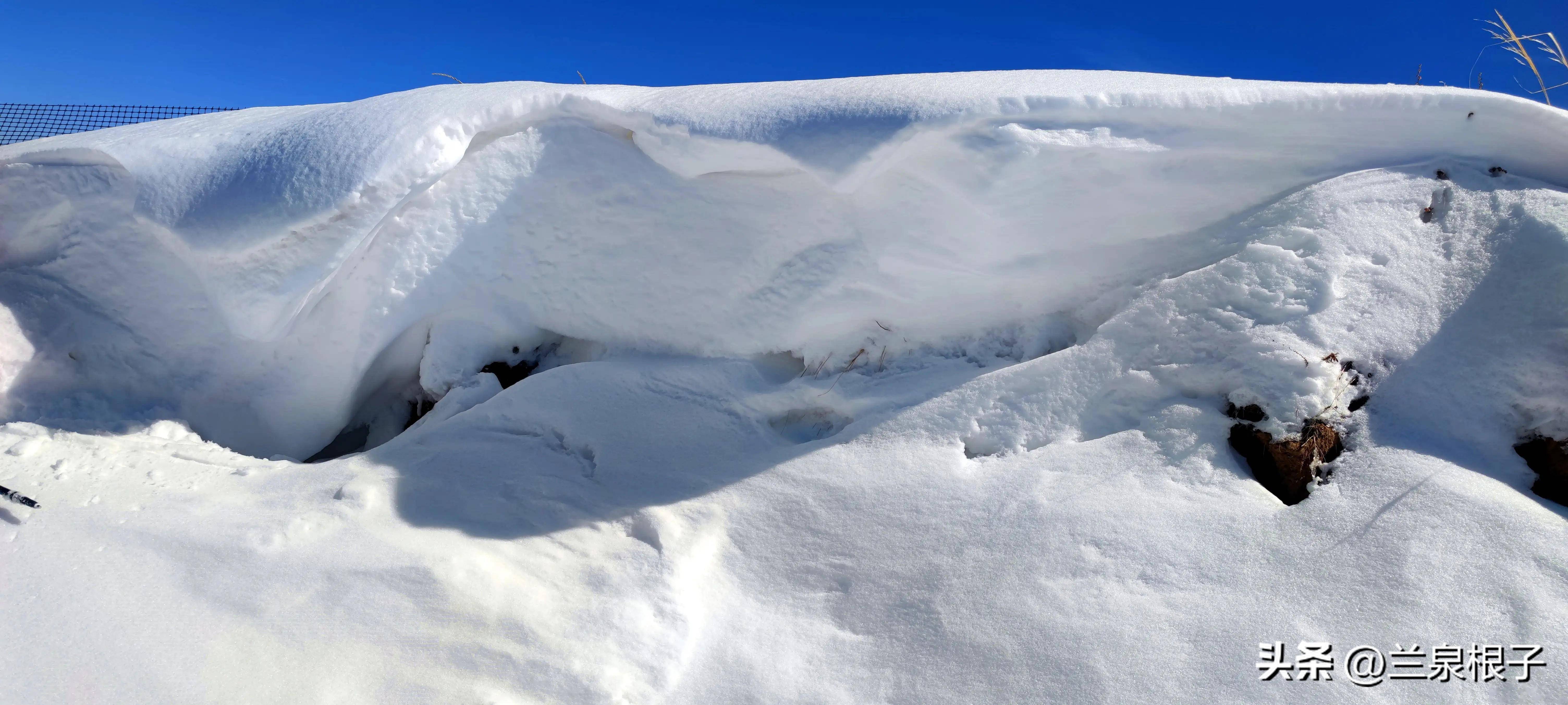 雪地图片大全背景图片