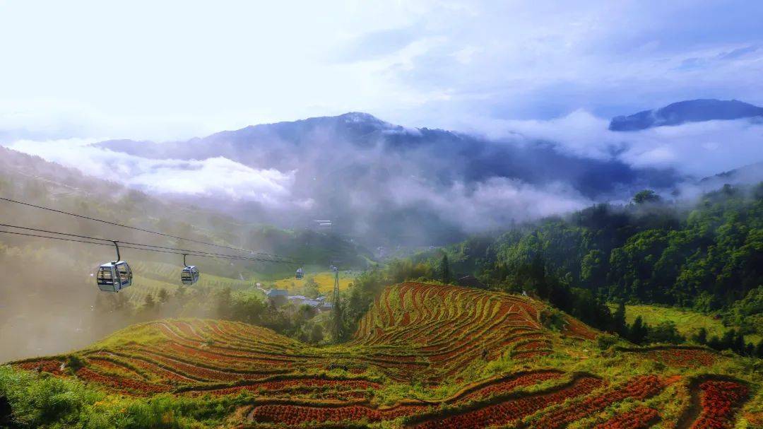 参赛选手福利已就位_景区_桂林_门票