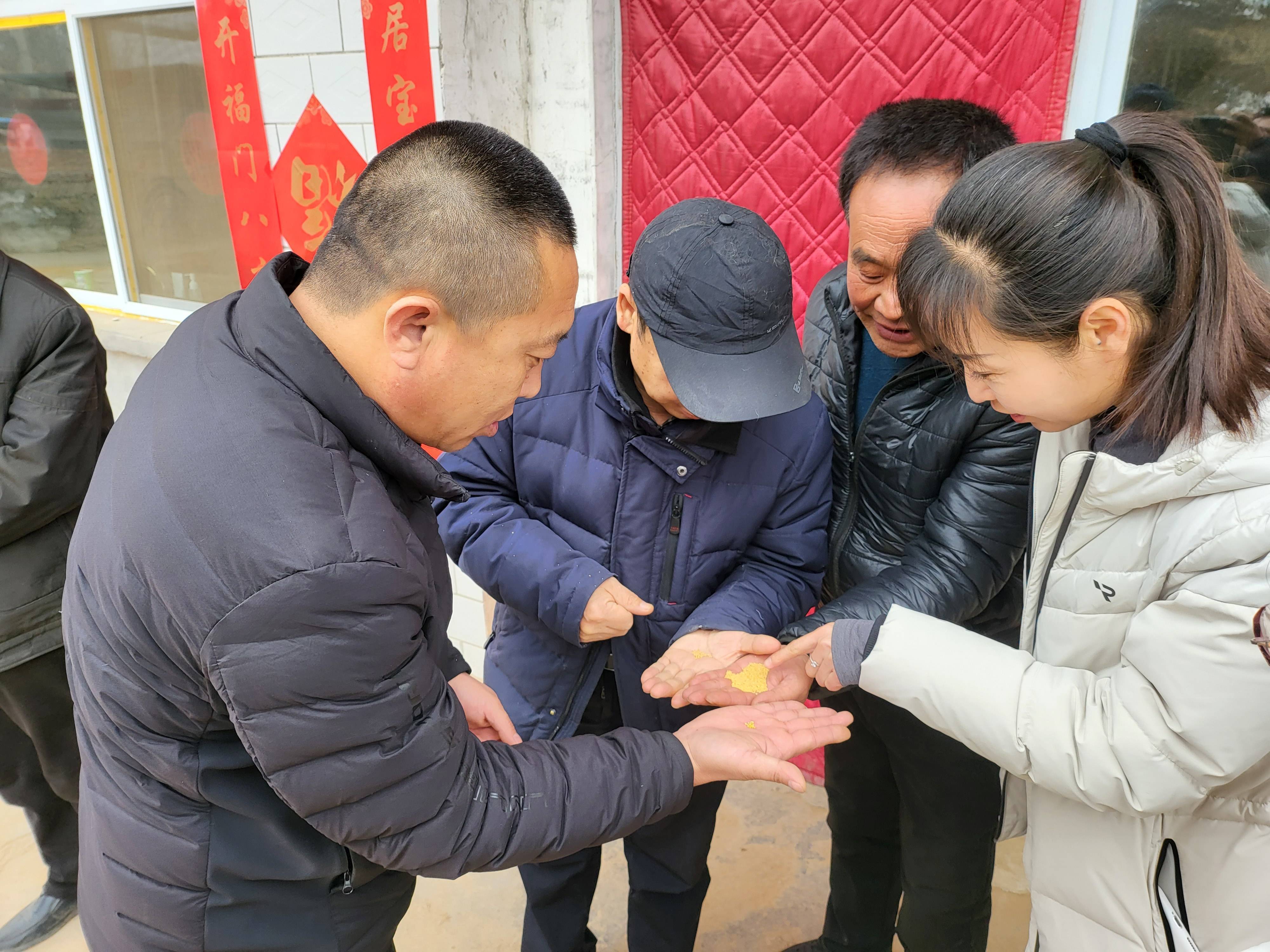 永和县坡头乡:专家农户面对面 把脉问诊备春耕_农业_谷子_种植户