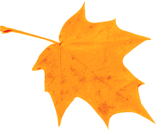 风霜但自保丨小令的写作技巧(三)_上片_下片_章法