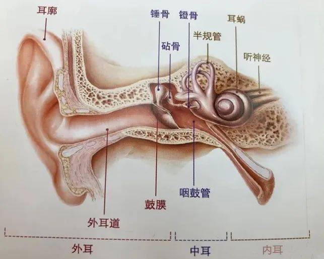 注意千万不要这样戴耳机否则