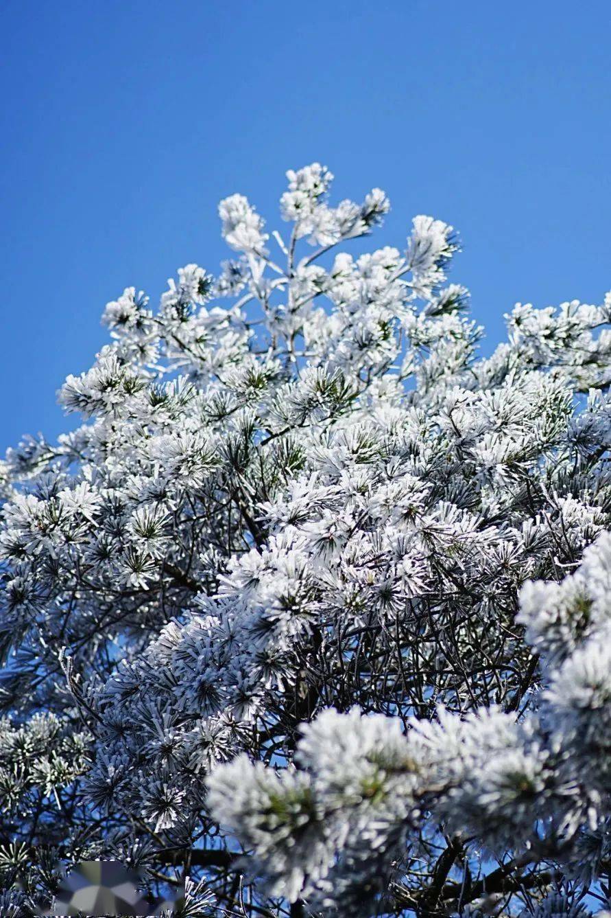 目的地_景区_民族村