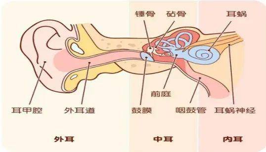 保护从了解开始