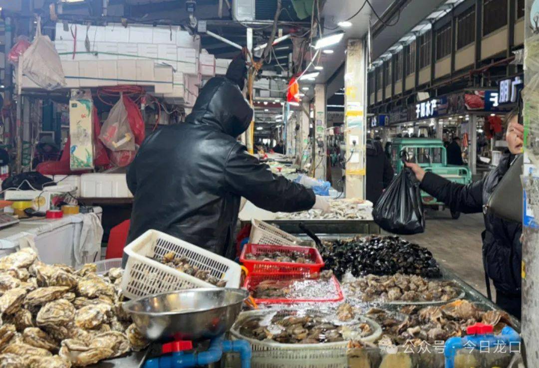 龙口这种海鲜大量上市