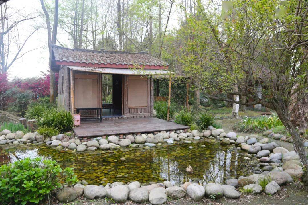 "三八"妇女节丨万花拾景园邀您共赴春日之约!