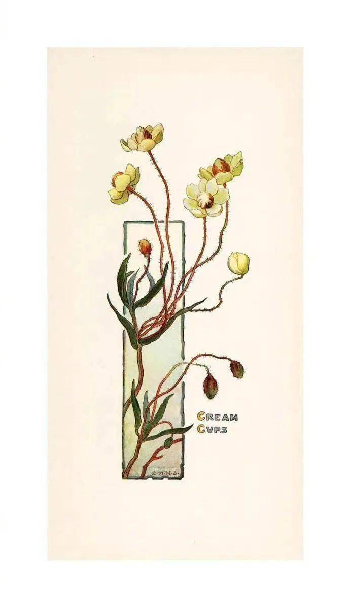 插画多采一些花种在记忆里