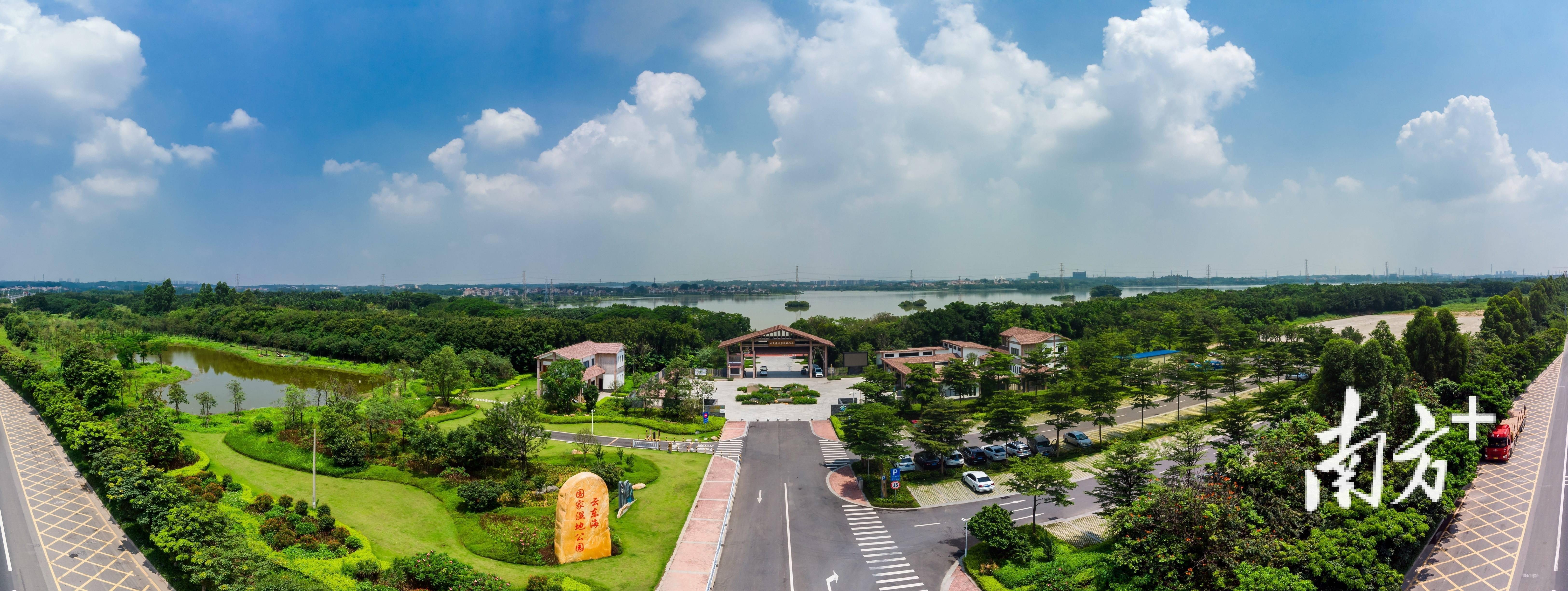 云东海:锚定两大定位,挑起战新产业大梁|三水开局_发展_服务_新城