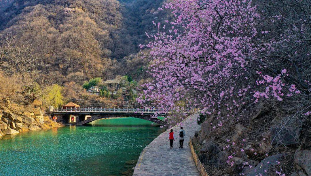 八里沟·天界山·九莲山),万仙山,关山活动政策:女士享受免门票优惠