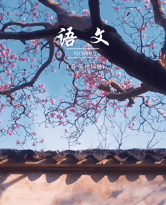 一不小心拍到了语文课本封面适配度拉满