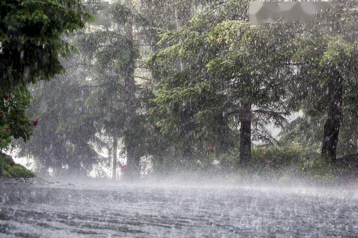 大阵雨,雷雨,暴雨已在来的路上,杭州市防指办发出工作提示