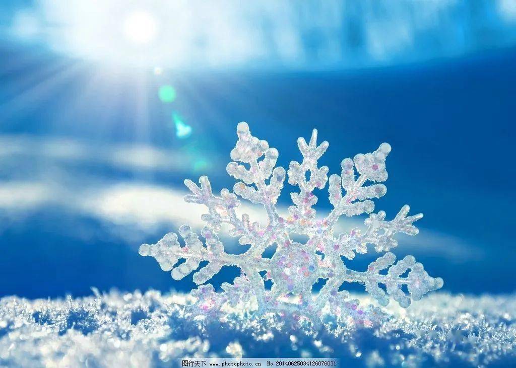 就像美好的时间一声不吭飘落地面轻如蝉翼细碎的雪花雪中臆想拉拽我