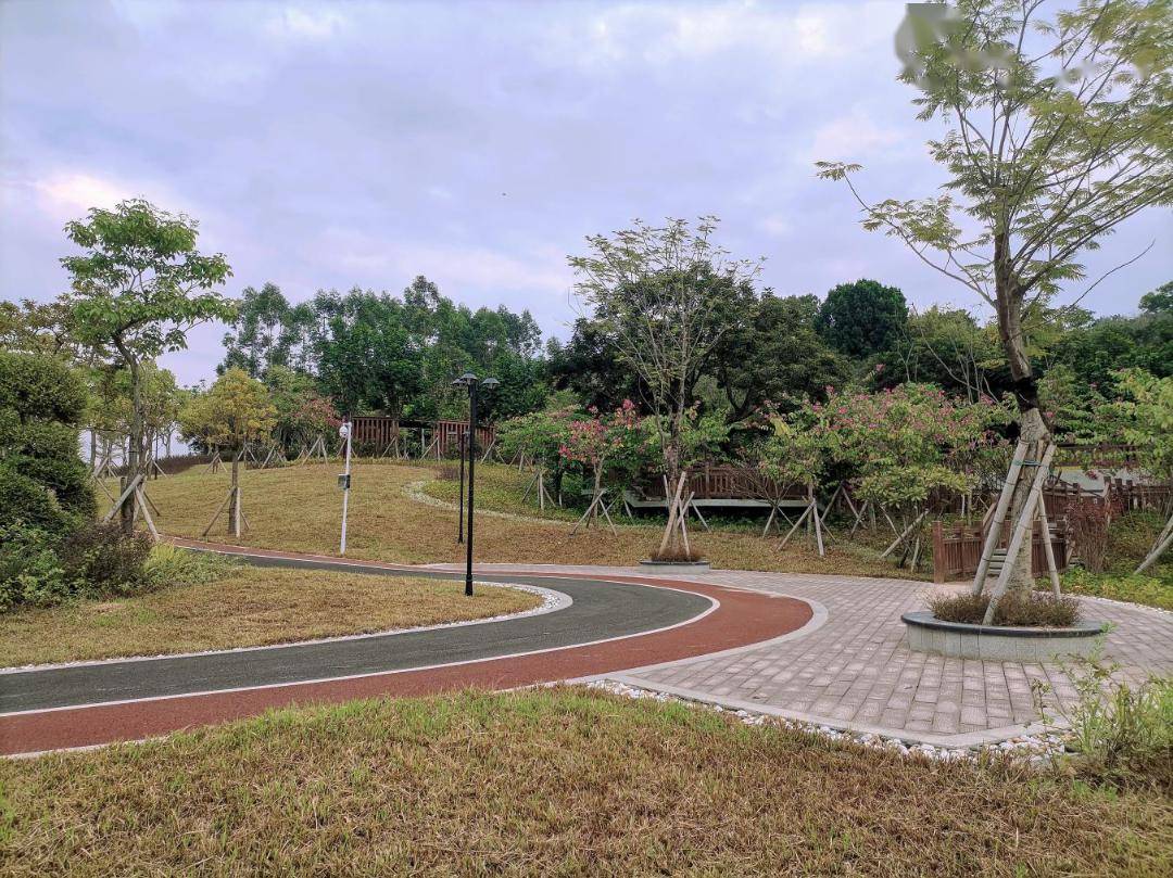 40亿增城这村要爆发了