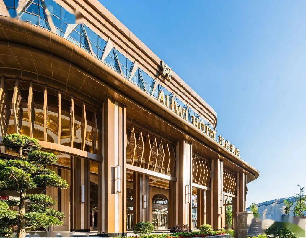 三花烂漫与你相约!