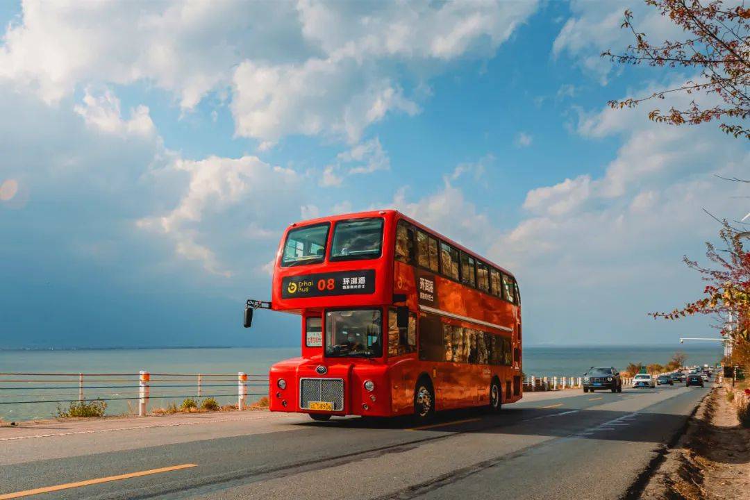 三八节福利乘环洱海巴士免费送礼