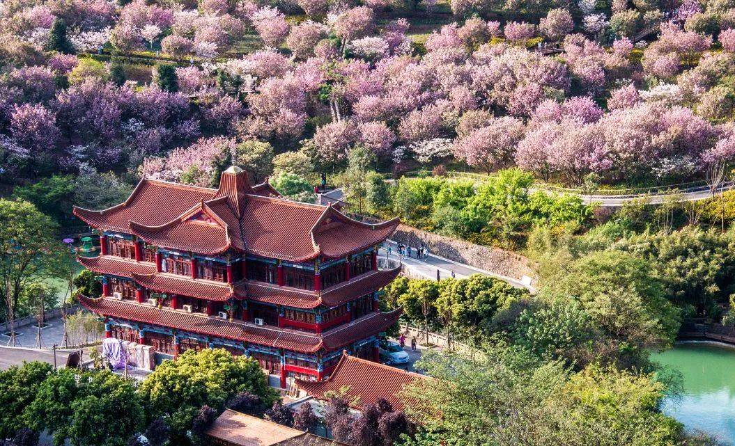 3月20日番禺电台主持人带队出发云南→贵州,赏80万