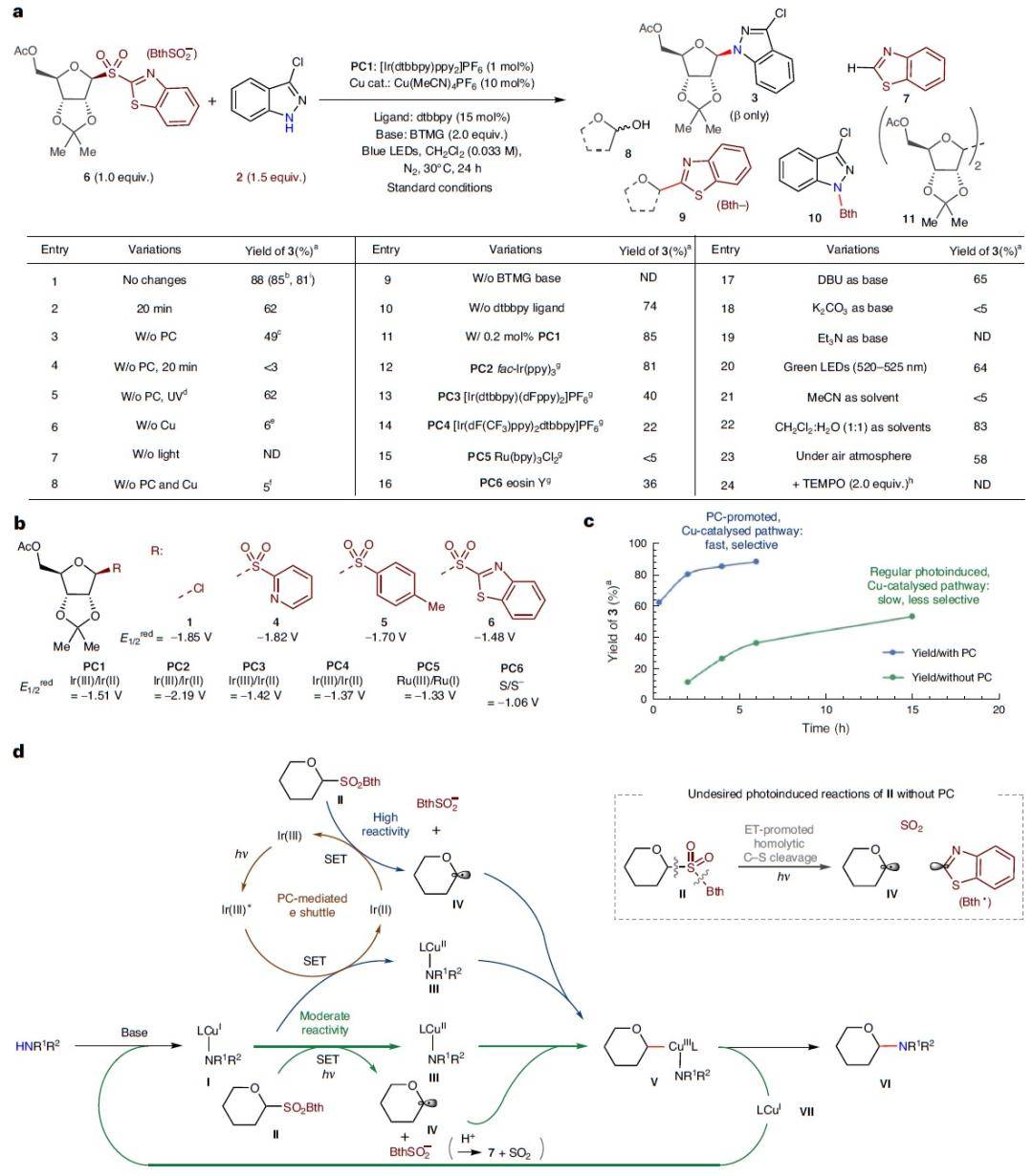 陈弓许民瑜natsynth光铜催化的n糖苷合成