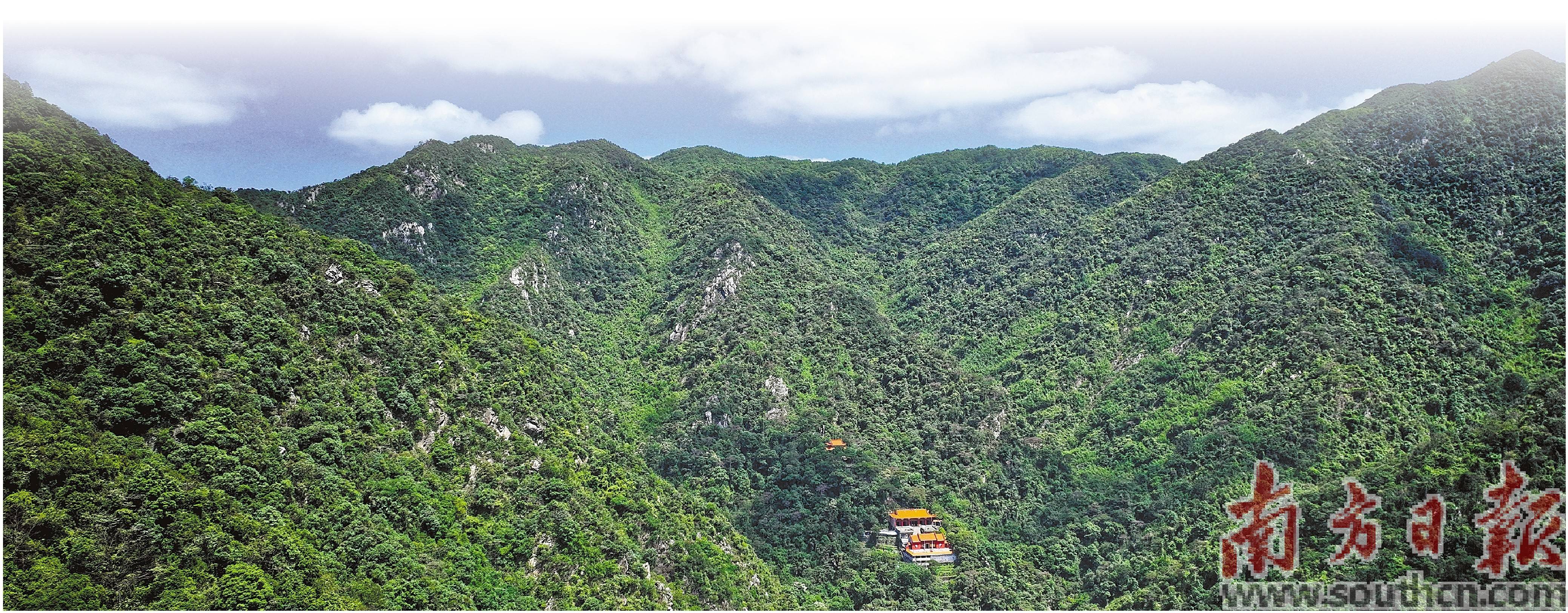 南方报业传媒集团清远记者站签约摄影师 华子旋 摄山林是绿的,田野是